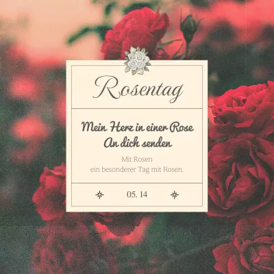 Ein schlichter Beitrag zum Rosentag in Rot und Elfenbein