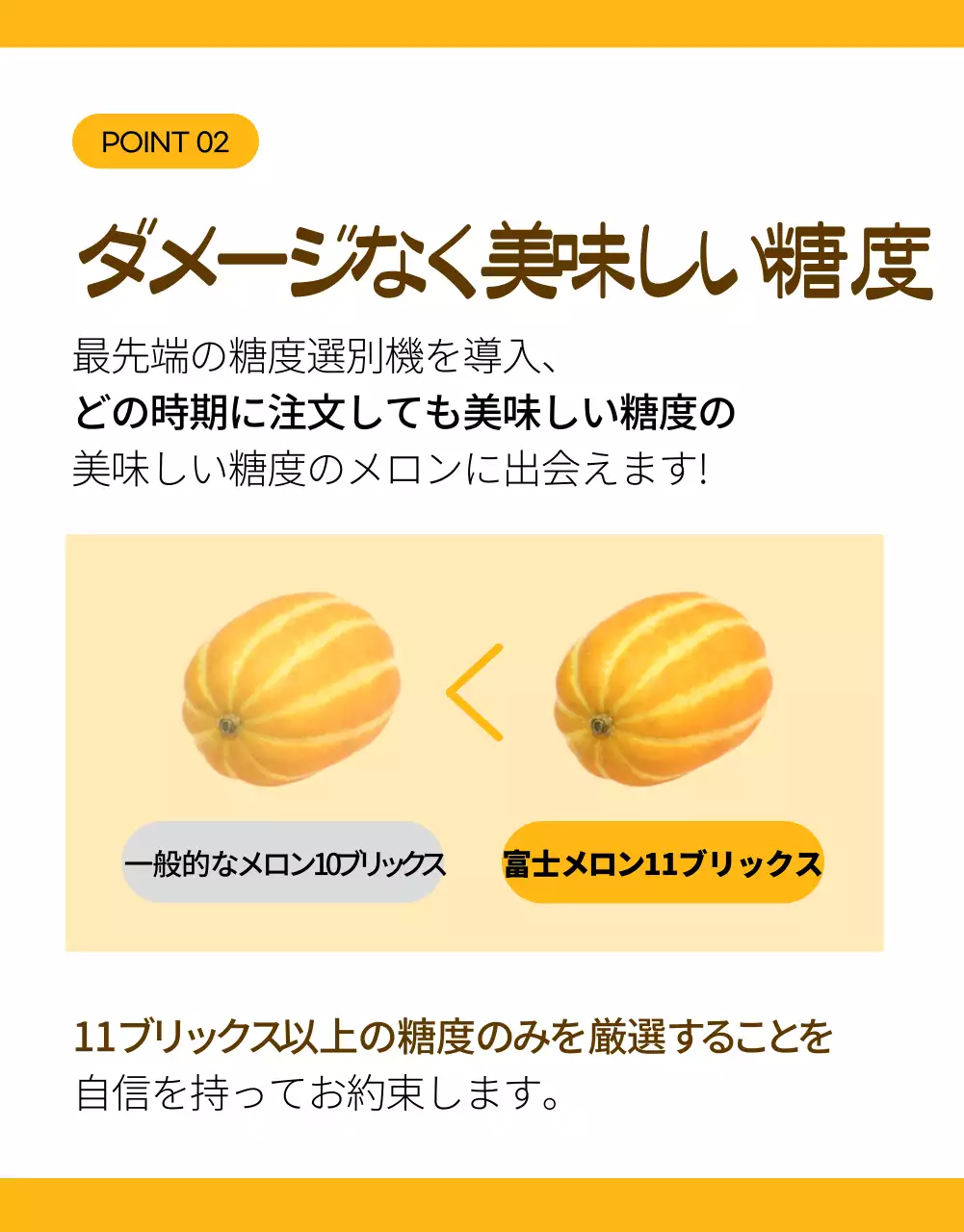 黄色 オーガニック メロン チラシ 詳細ページ