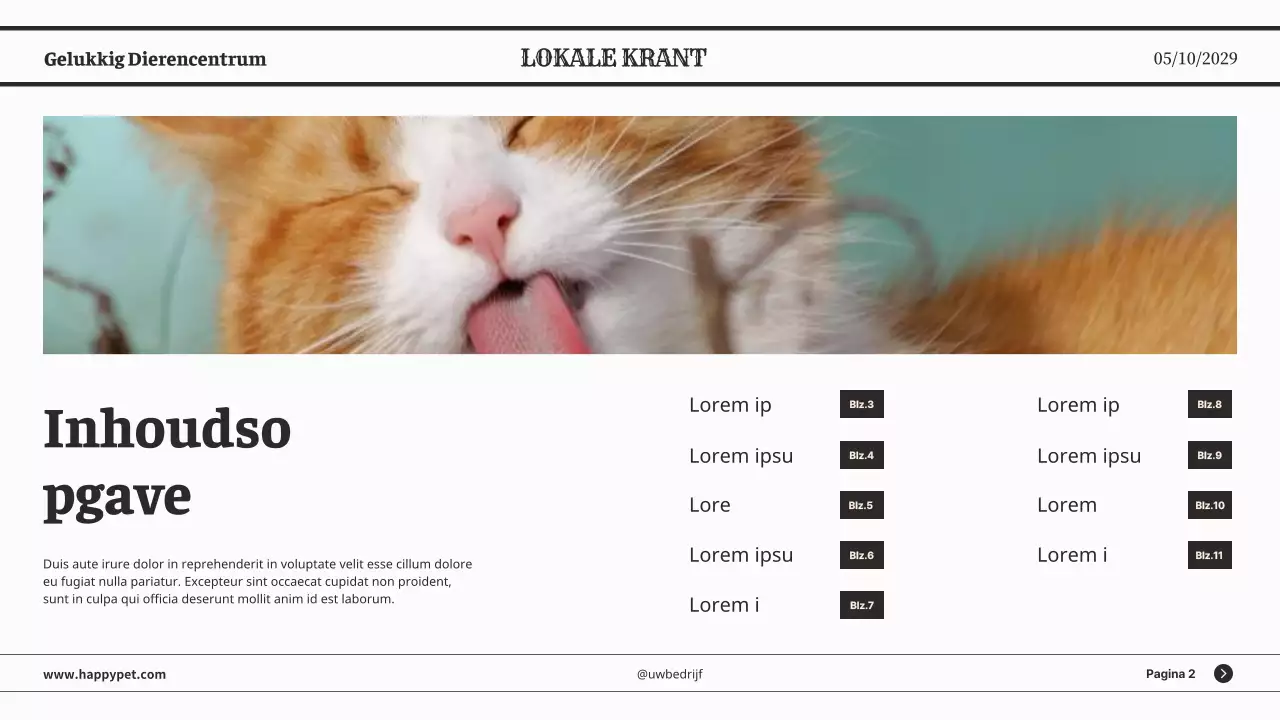 Grijze minimalistische klassieke kranten zakelijke presentatie