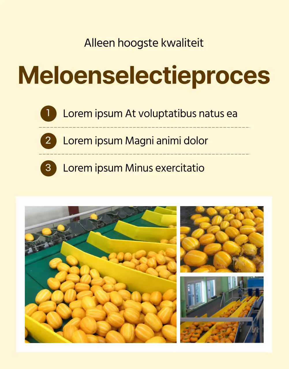 Eenvoudige promotie voor gele meloen