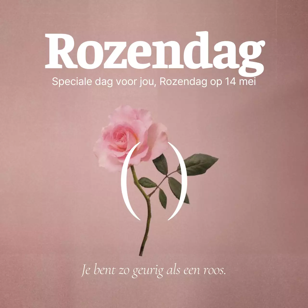 Een sentimentele roosjesdagpost in roze en wit