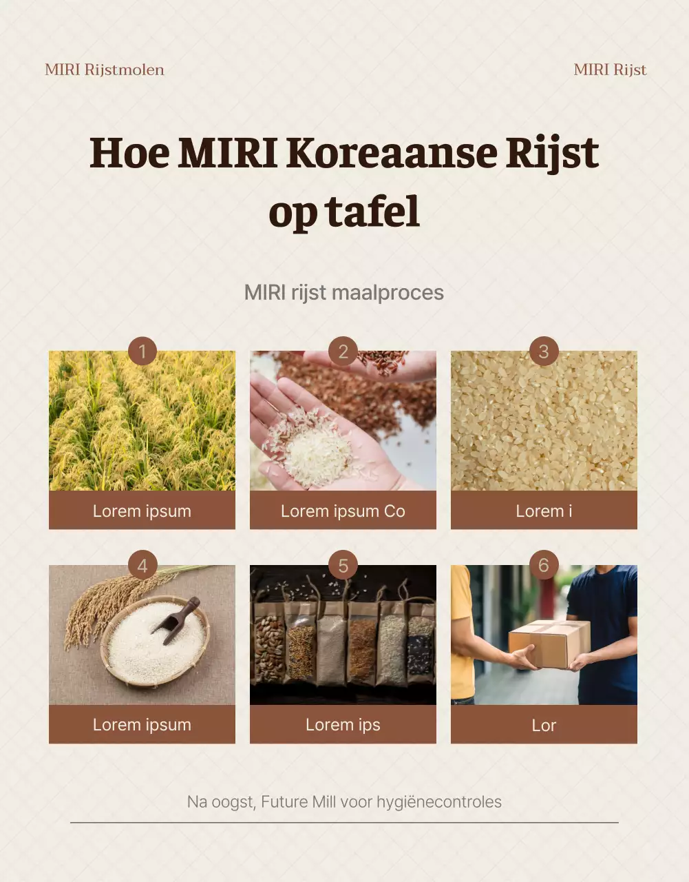 Een moderne introductie tot bruine en ivoorkleurige biologische rijst