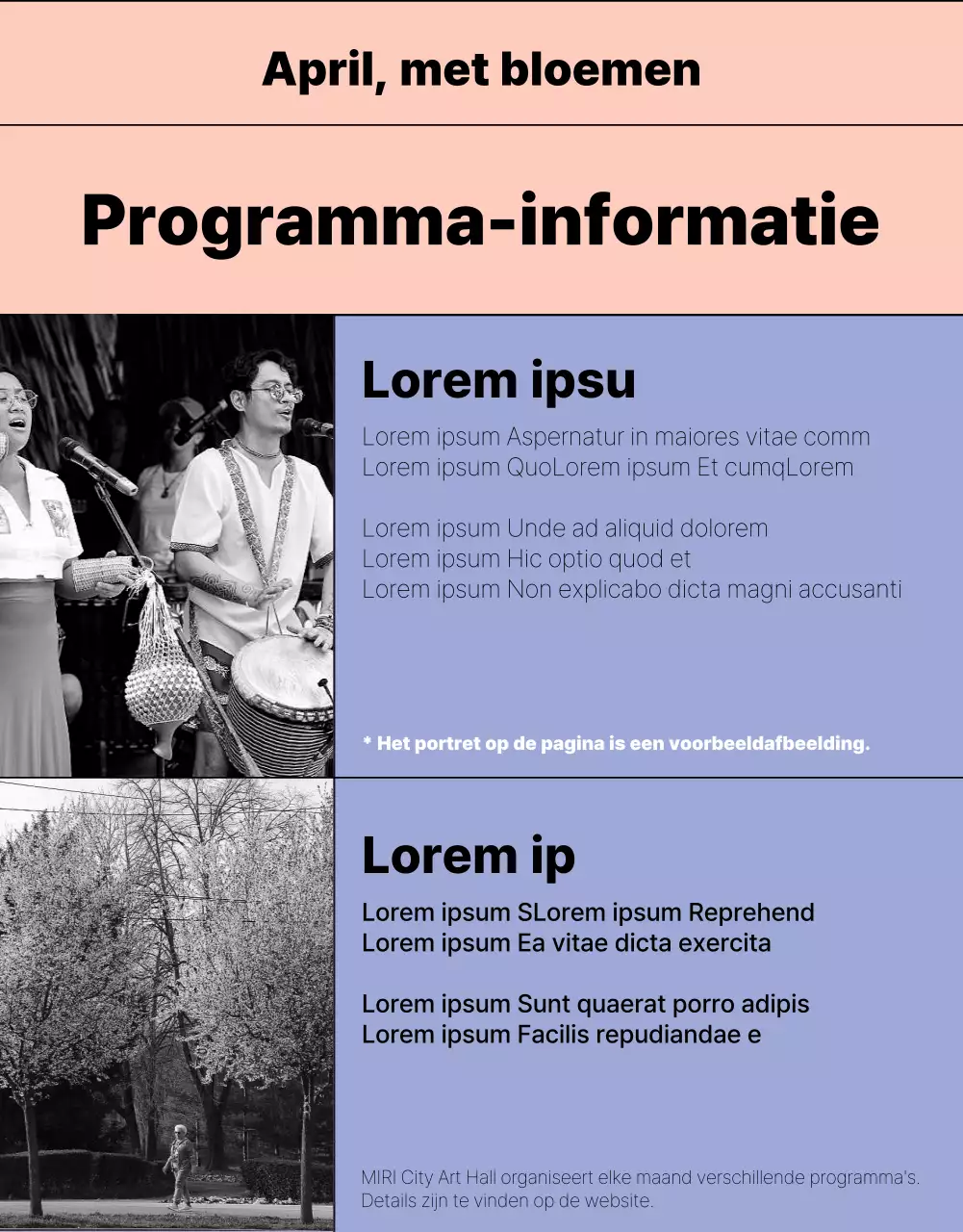 Eenvoudige mauve en roze showprogramma-informatie