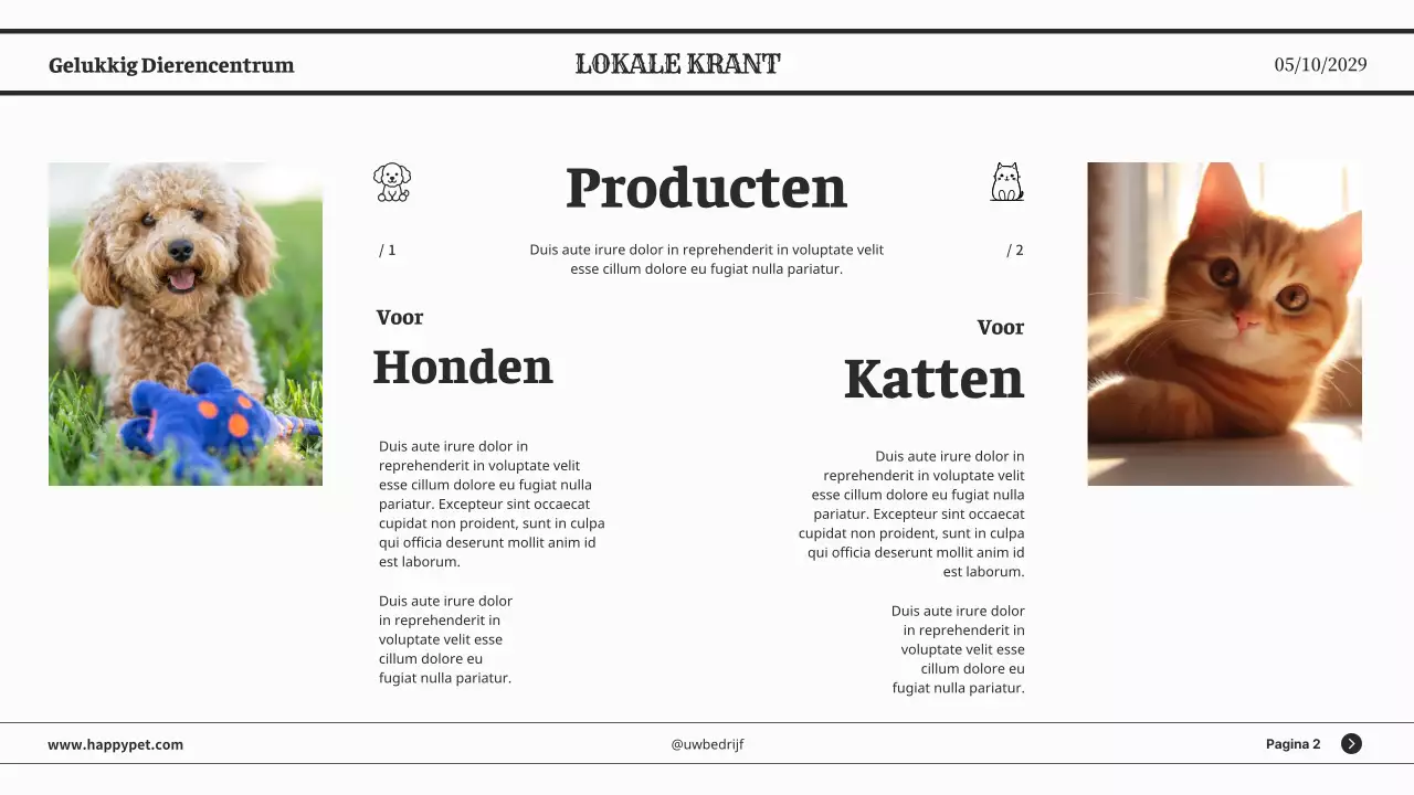 Grijze minimalistische klassieke kranten zakelijke presentatie