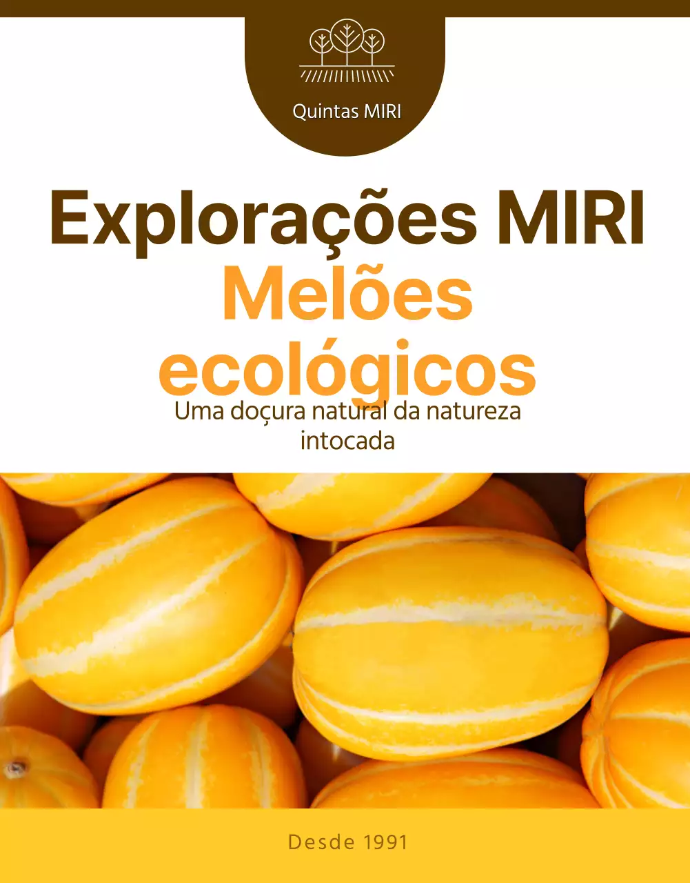 Promoção simples do melão amarelo