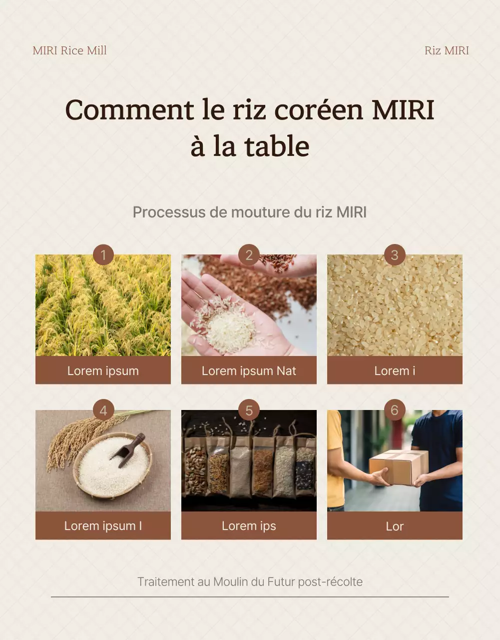 Une introduction moderne au riz biologique brun et ivoire