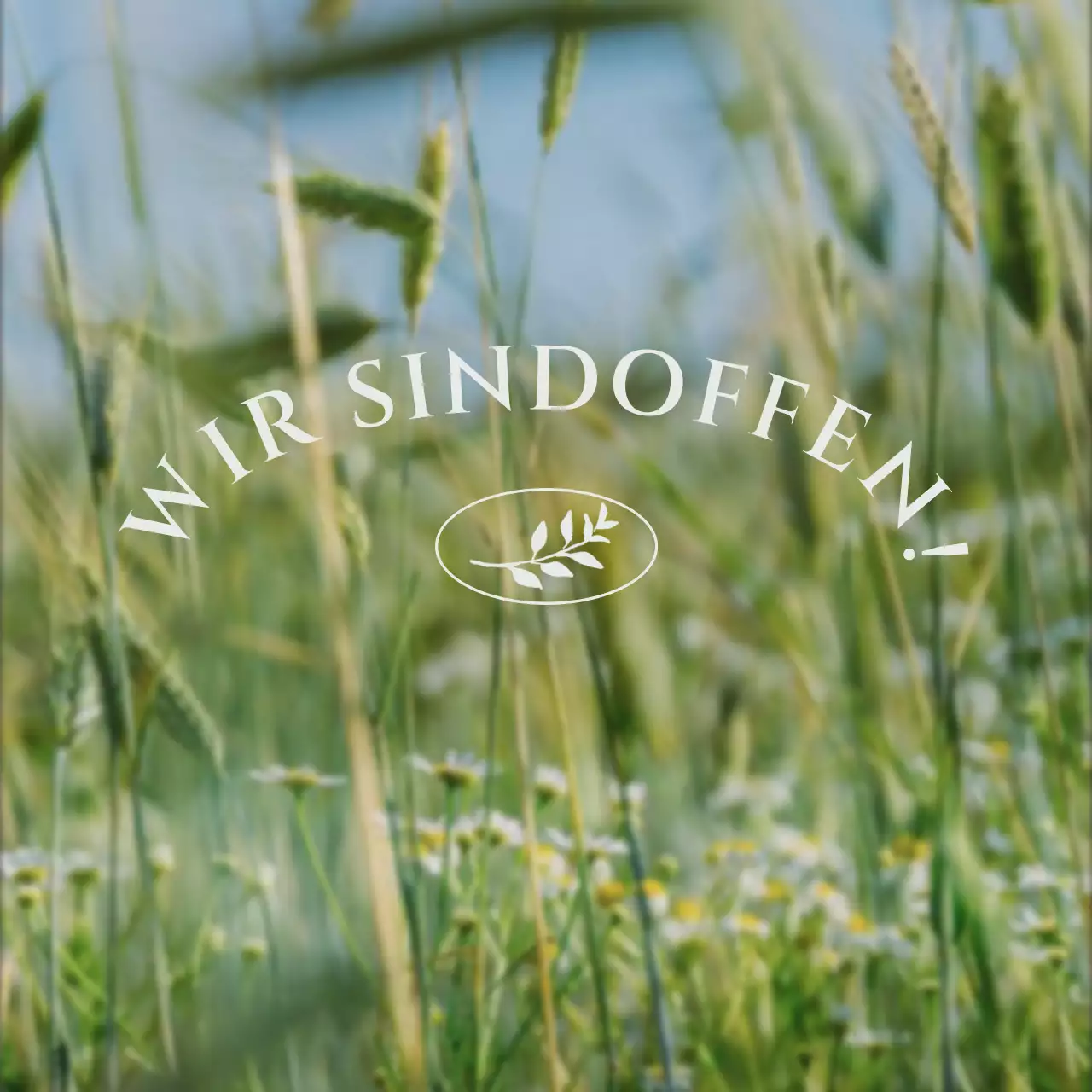 Fördern Sie abstraktes, einfaches Marken-Social-Media-Marketingpaket