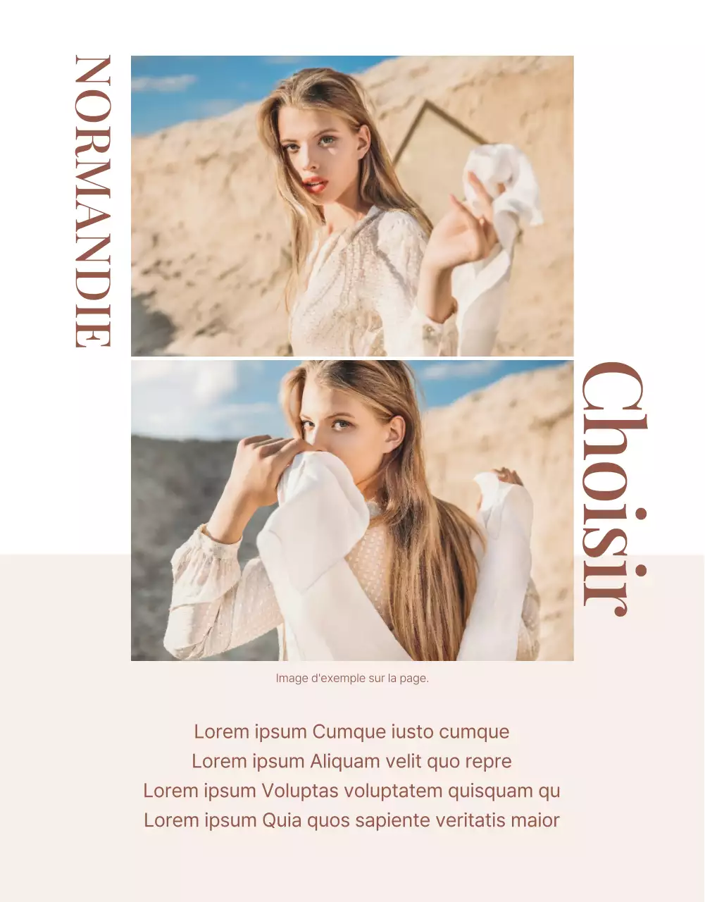 Promouvoir un centre commercial moderne en rose et marron