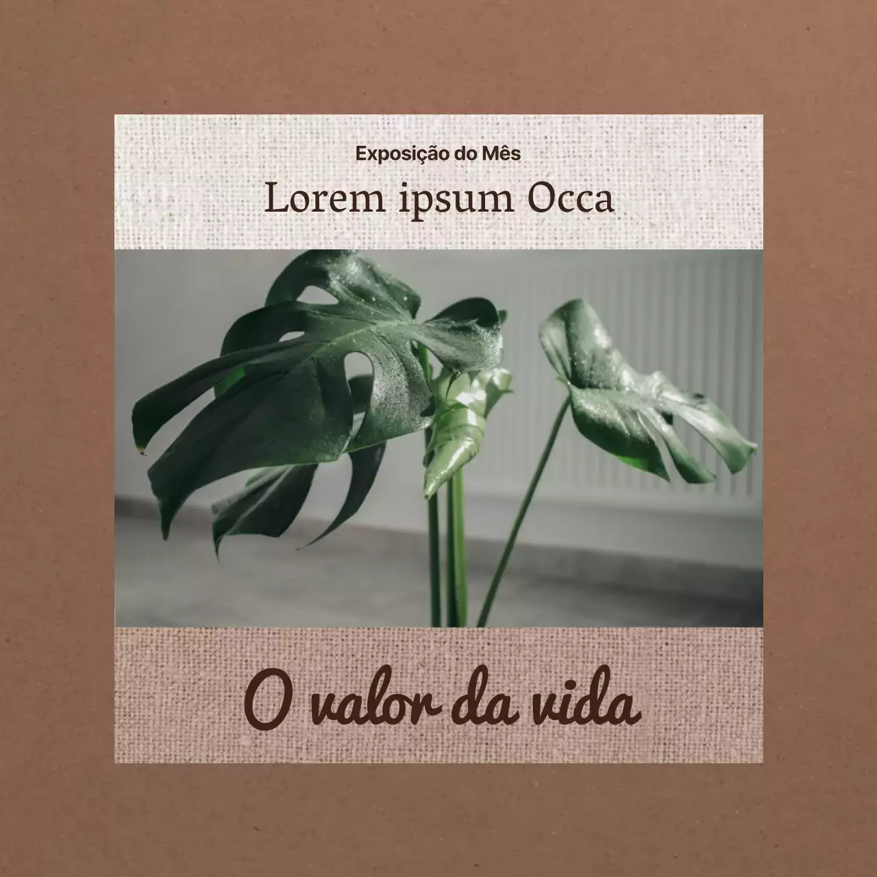 Promover uma exposição individual castanha e moderna