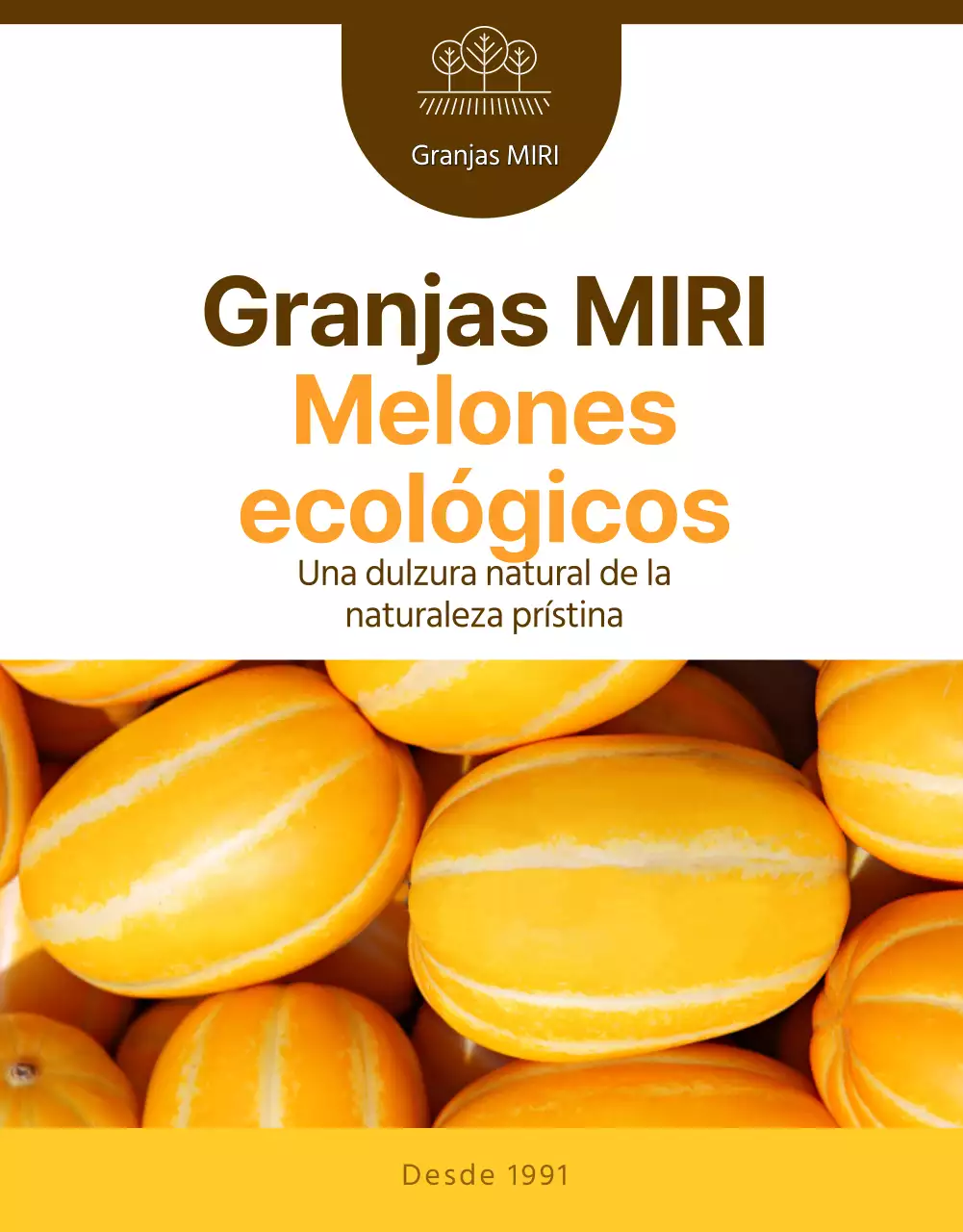 Promoción simple del melón amarillo