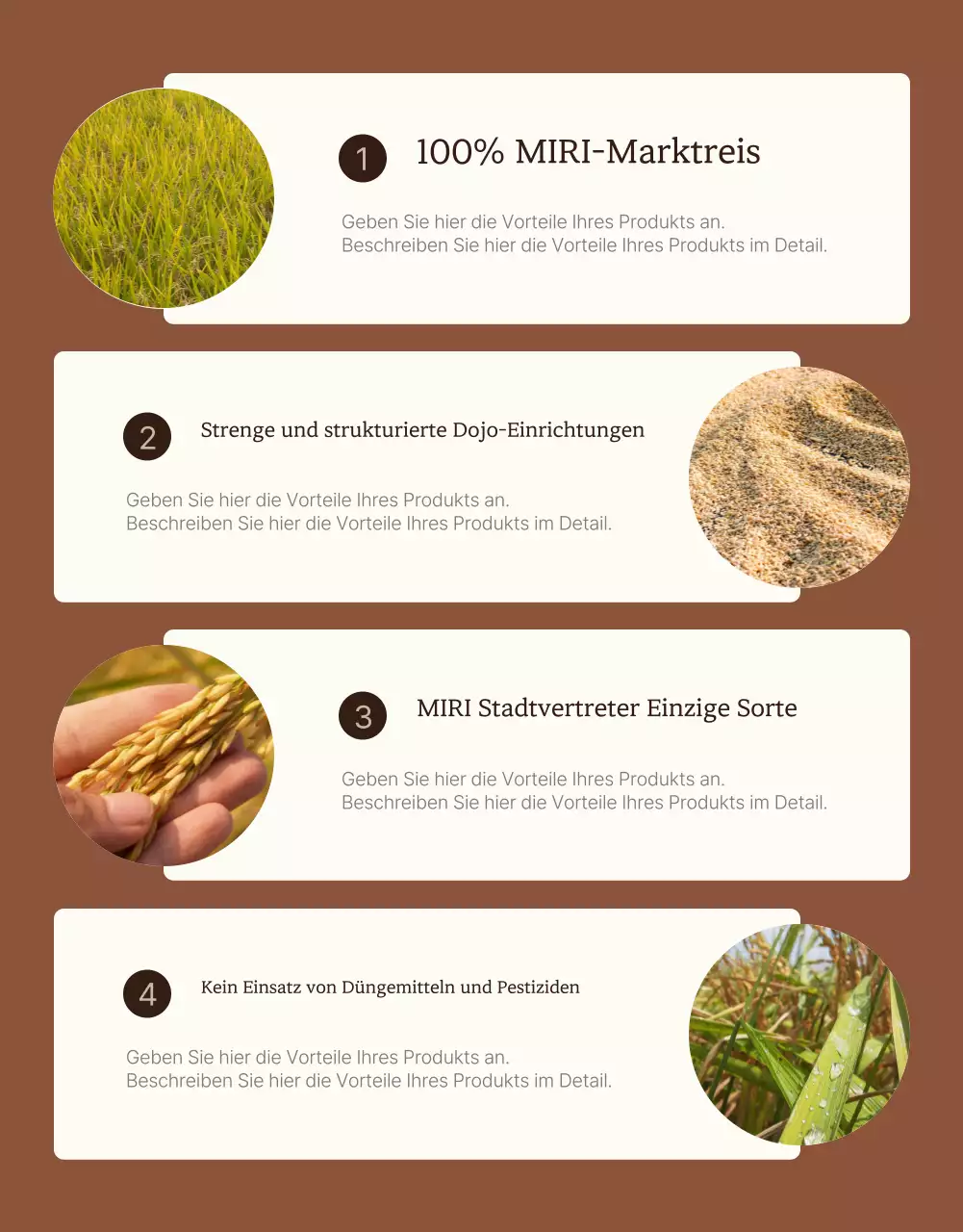 Eine moderne Einführung in braunen und elfenbeinfarbenen Bio-Reis