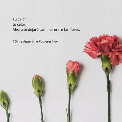 Un post sentimental de Acción de Gracias en blanco y rosa