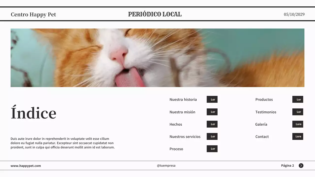 Presentación empresarial de periódico clásico minimalista gris