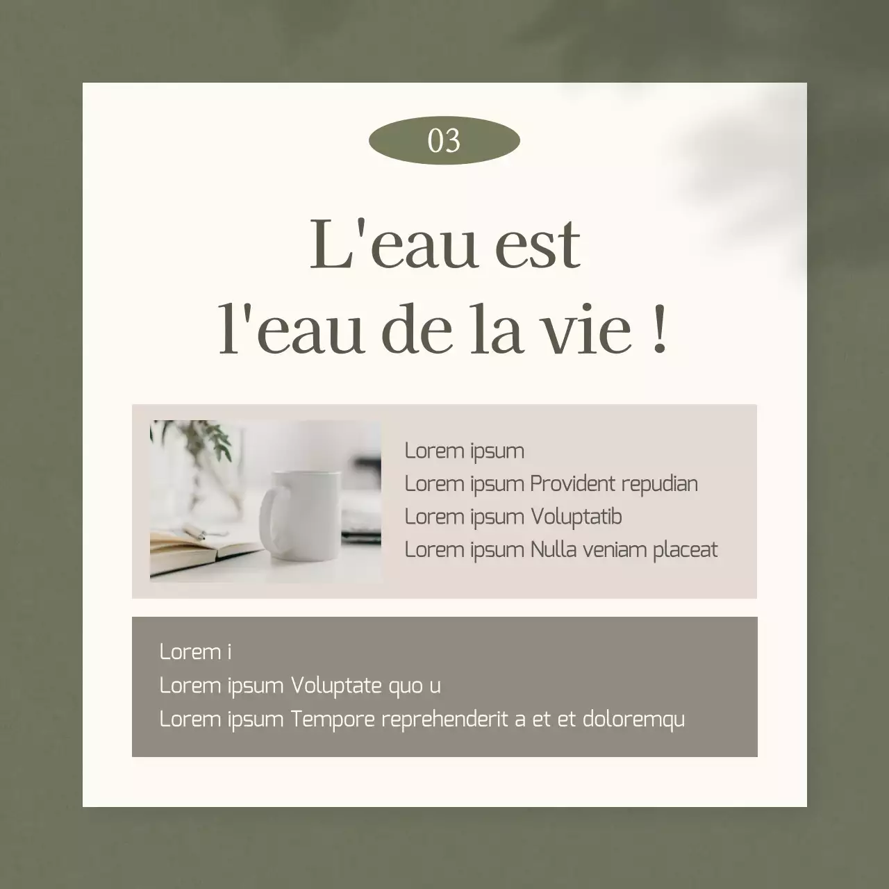 Promouvoir un régime simple de médecine chinoise en kaki et beige