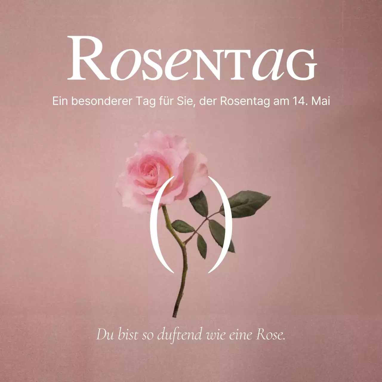 Ein sentimentaler Beitrag zum Rosentag in Rosa und Weiß