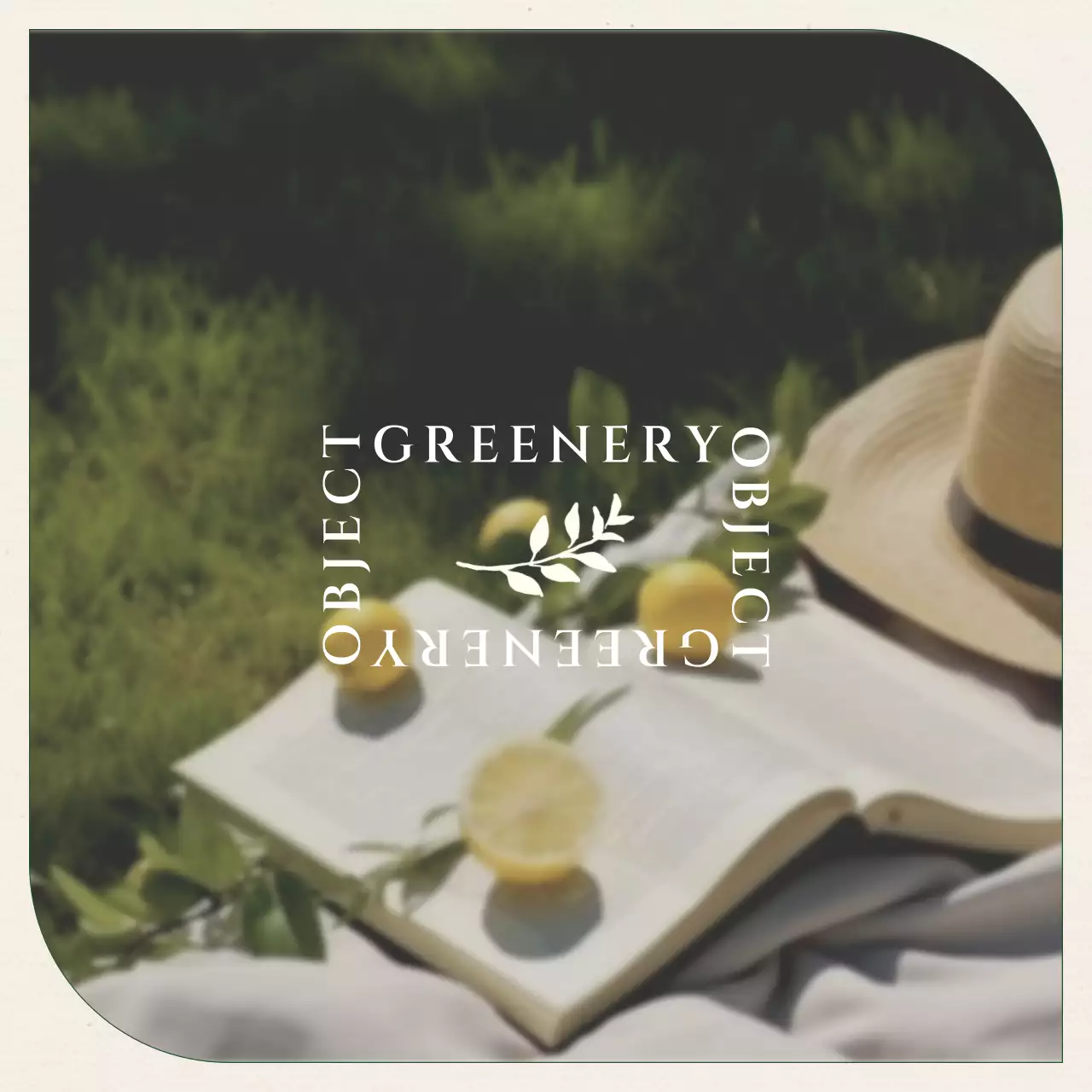 Khuyến mãi bộ sưu tập tiếp thị truyền thông xã hội sns thương hiệu đơn giản màu xanh lá cây