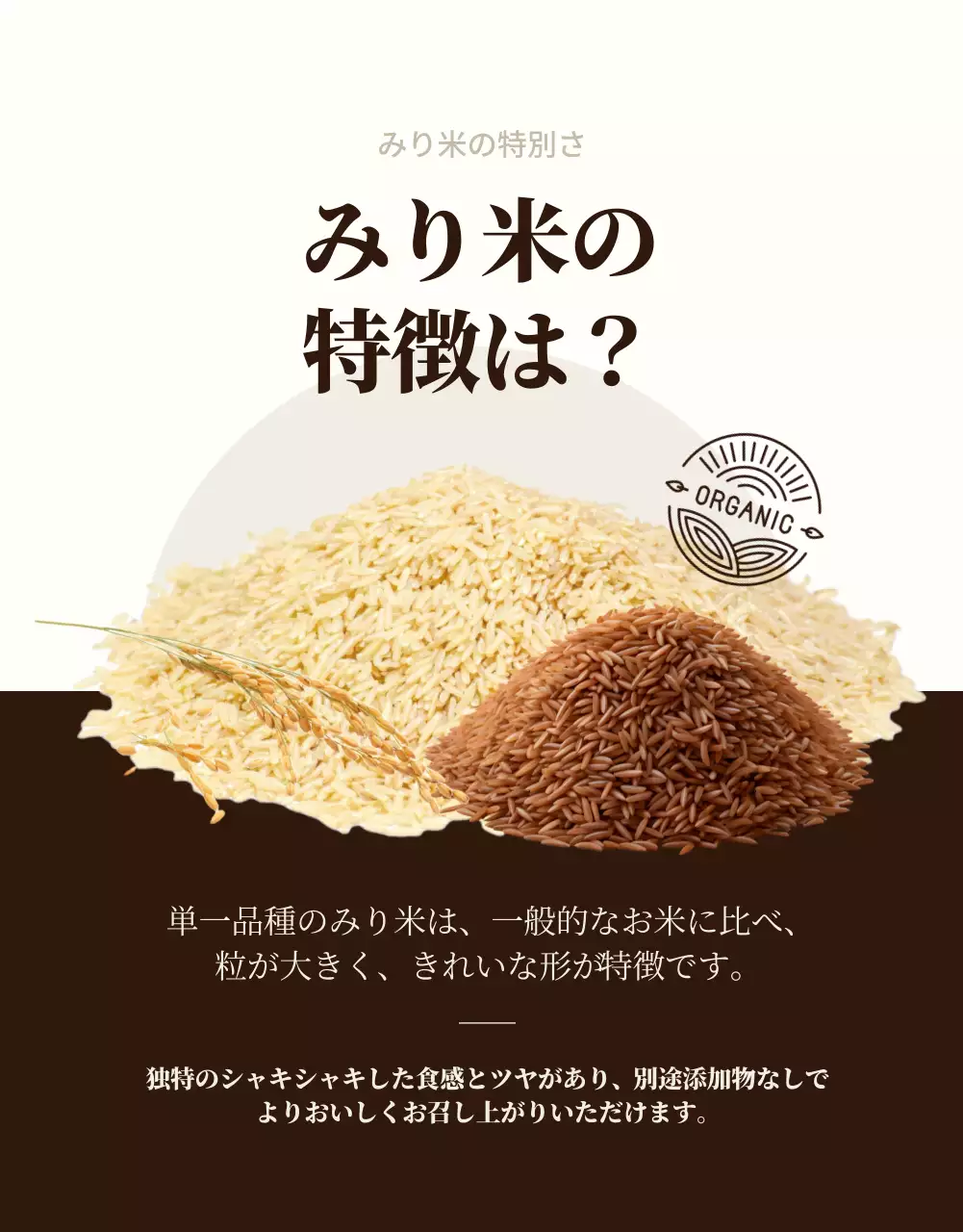 ベージュ 上品 オーガニック パンフレット 詳細ページ