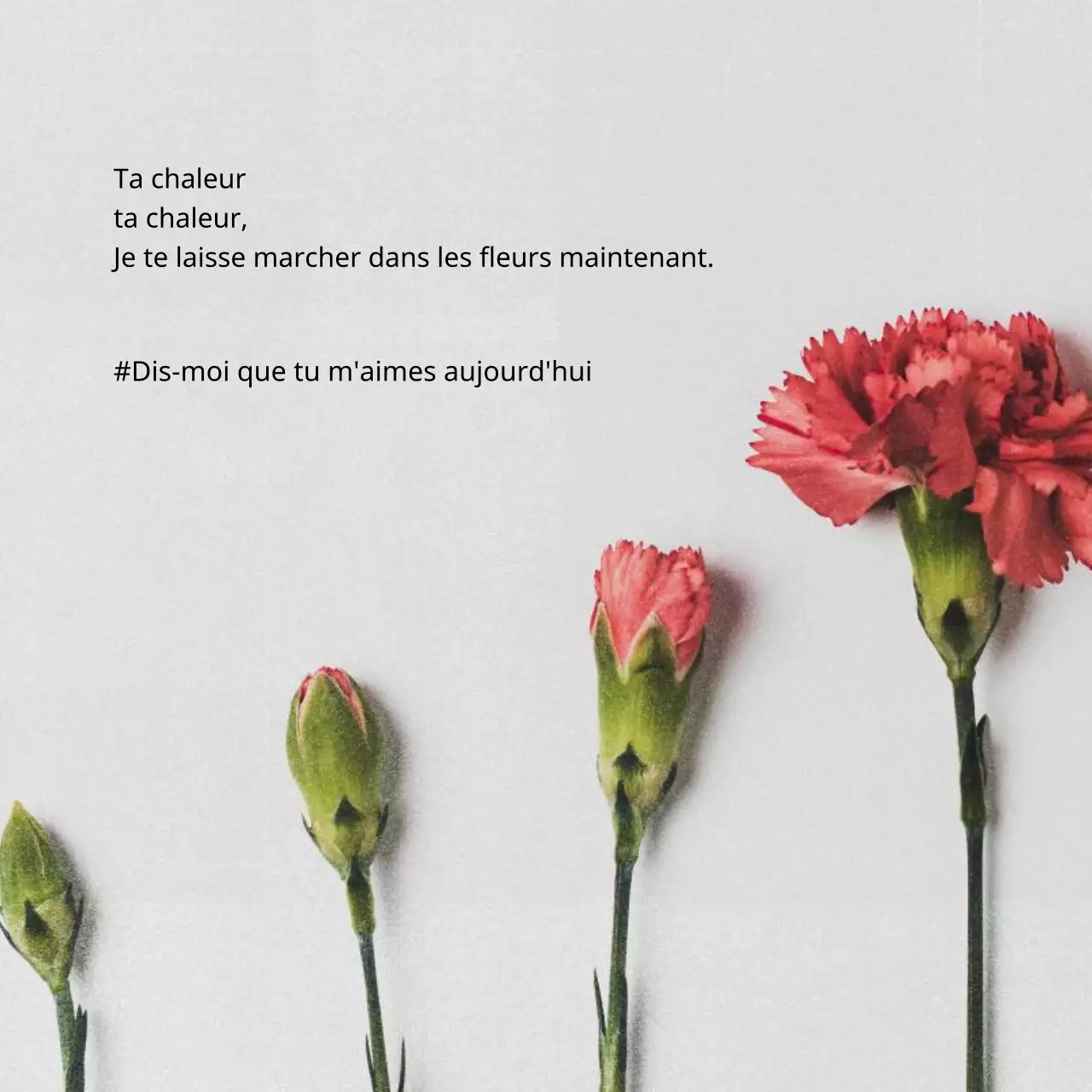 Un message sentimental de Thanksgiving en blanc et rose