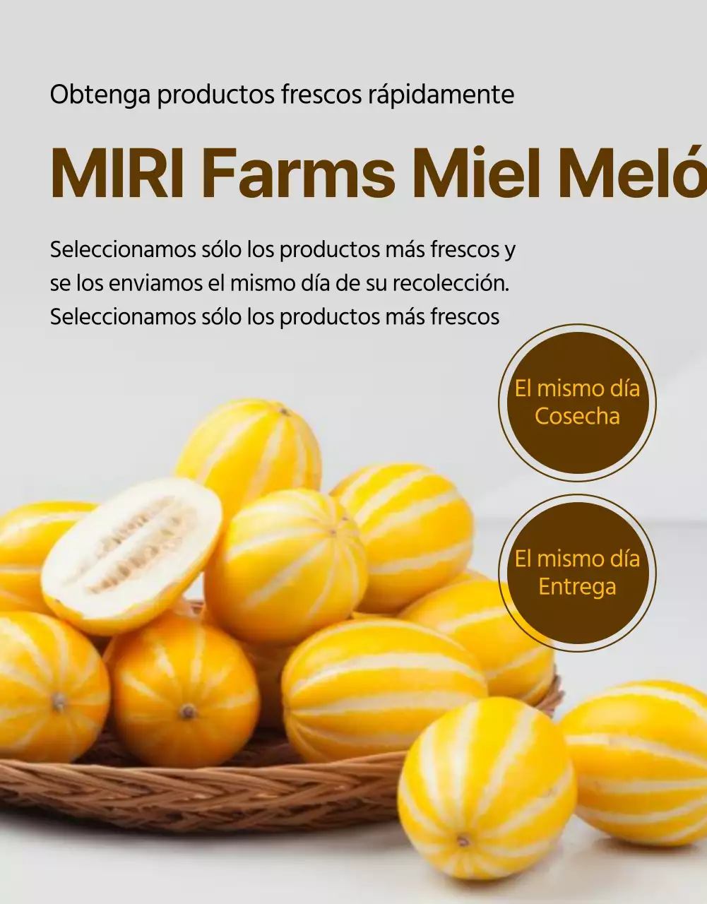 Promoción simple del melón amarillo