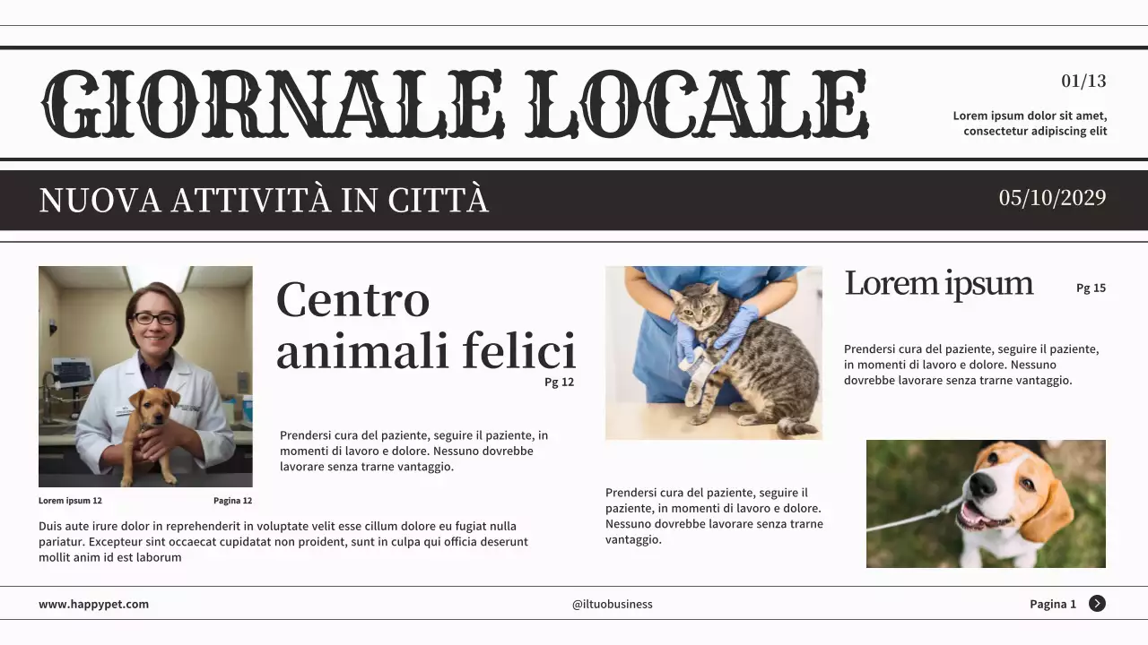 Grigio minimalista classico giornale presentazione aziendale