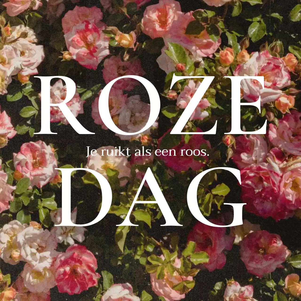 Een sentimentele roosjesdagpost in roze en wit