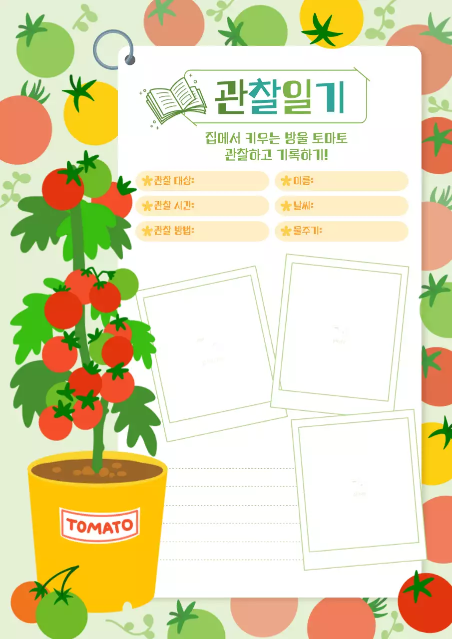 초록색과 빨간색의 일러스트 컨셉의 성장기록