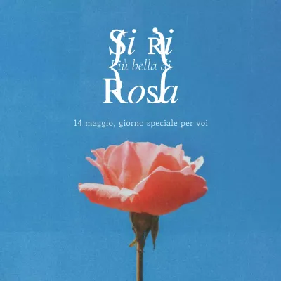 Un post sentimentale per il Giorno delle Rose in rosa e azzurro