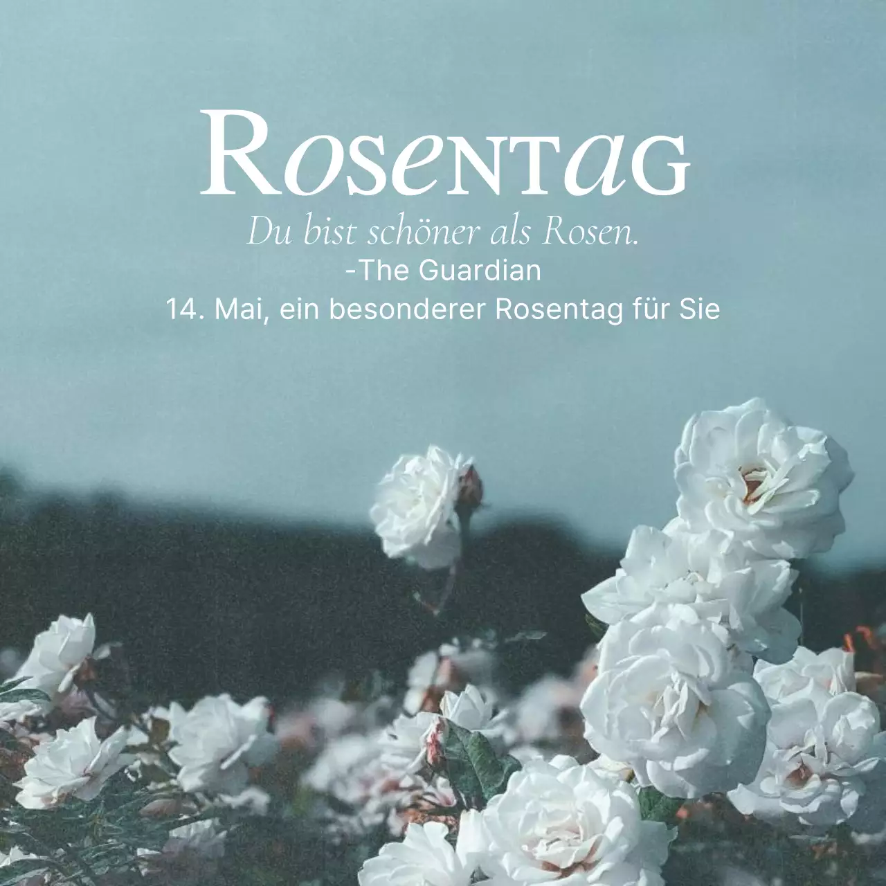 Ein sentimentaler Beitrag zum Rosentag in Hellblau und Weiß