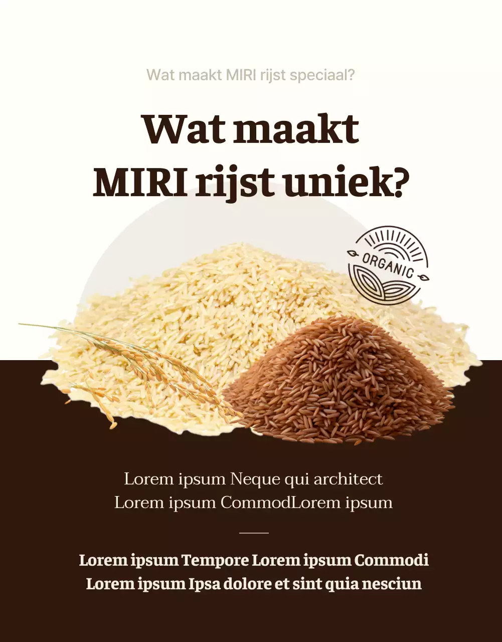 Een moderne introductie tot bruine en ivoorkleurige biologische rijst