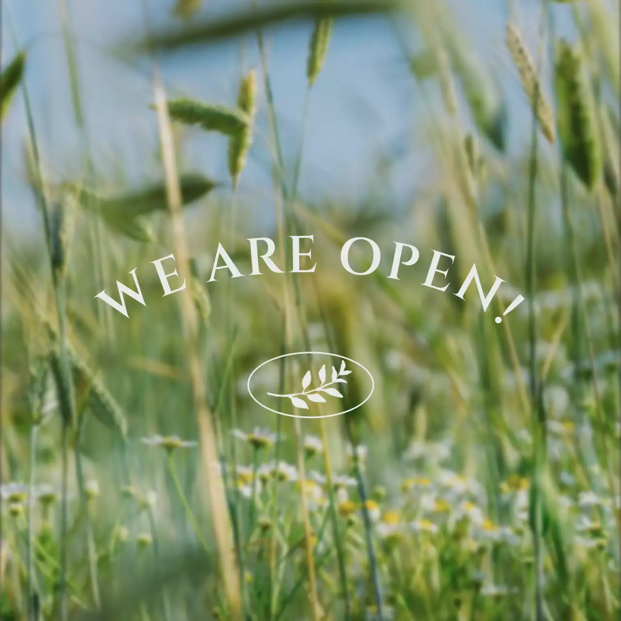 緑 ナチュラル お知らせ 看板 SNS投稿 正方形