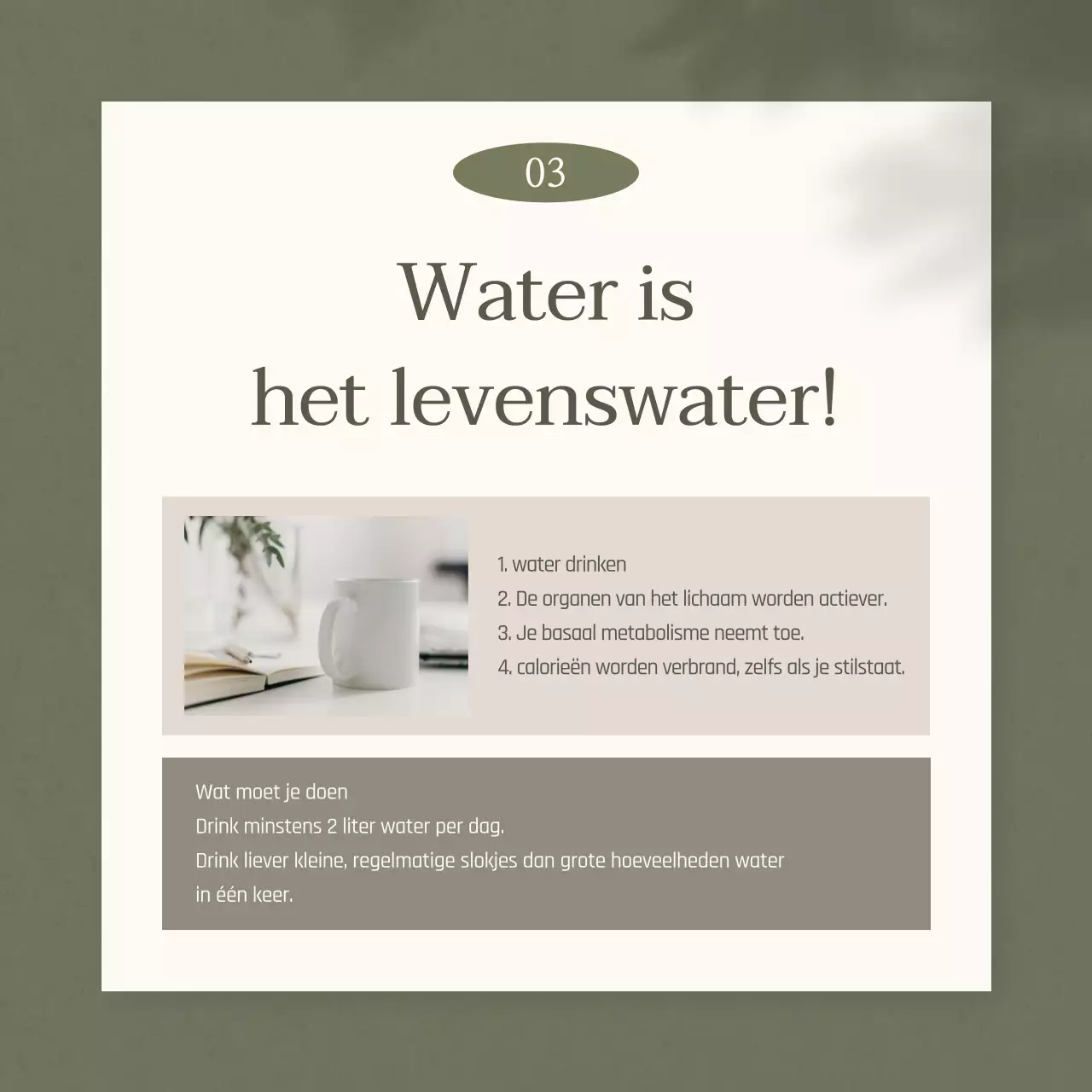 Een eenvoudig Chinees medicijndieet promoten in kaki en beige