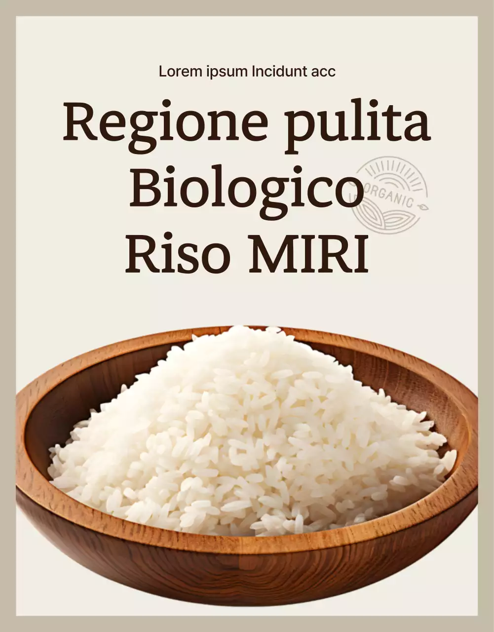 Un'introduzione moderna al riso biologico integrale e avorio
