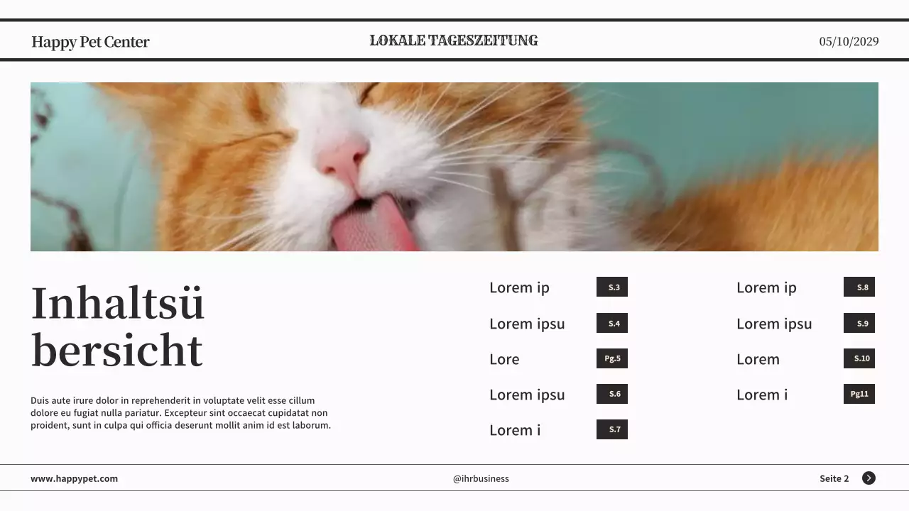 Graue minimalistische klassische Zeitung Geschäftspräsentation