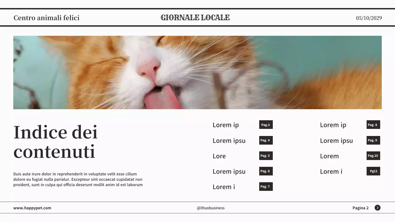 Grigio minimalista classico giornale presentazione aziendale