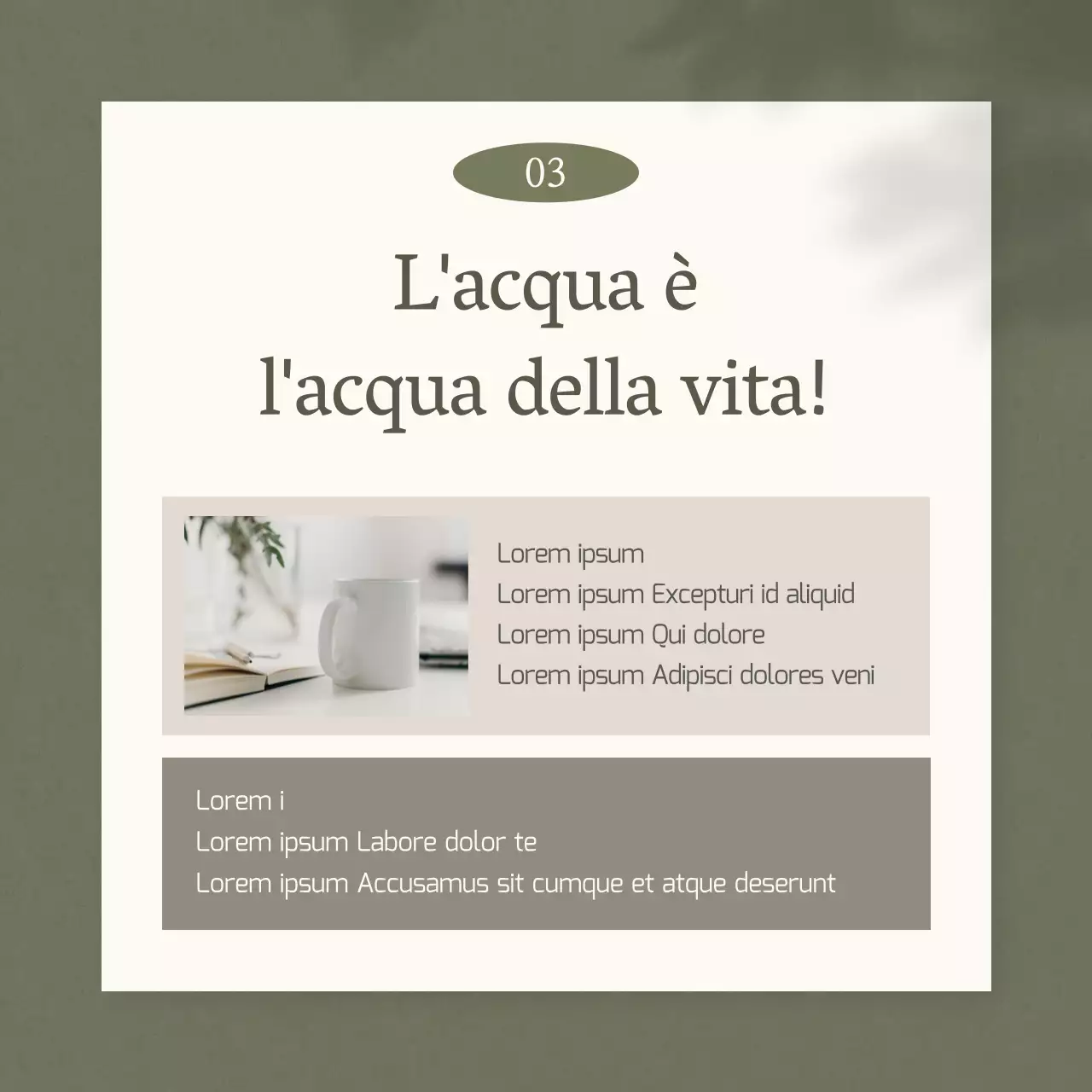 Promuovere una semplice dieta di medicina cinese in kaki e beige