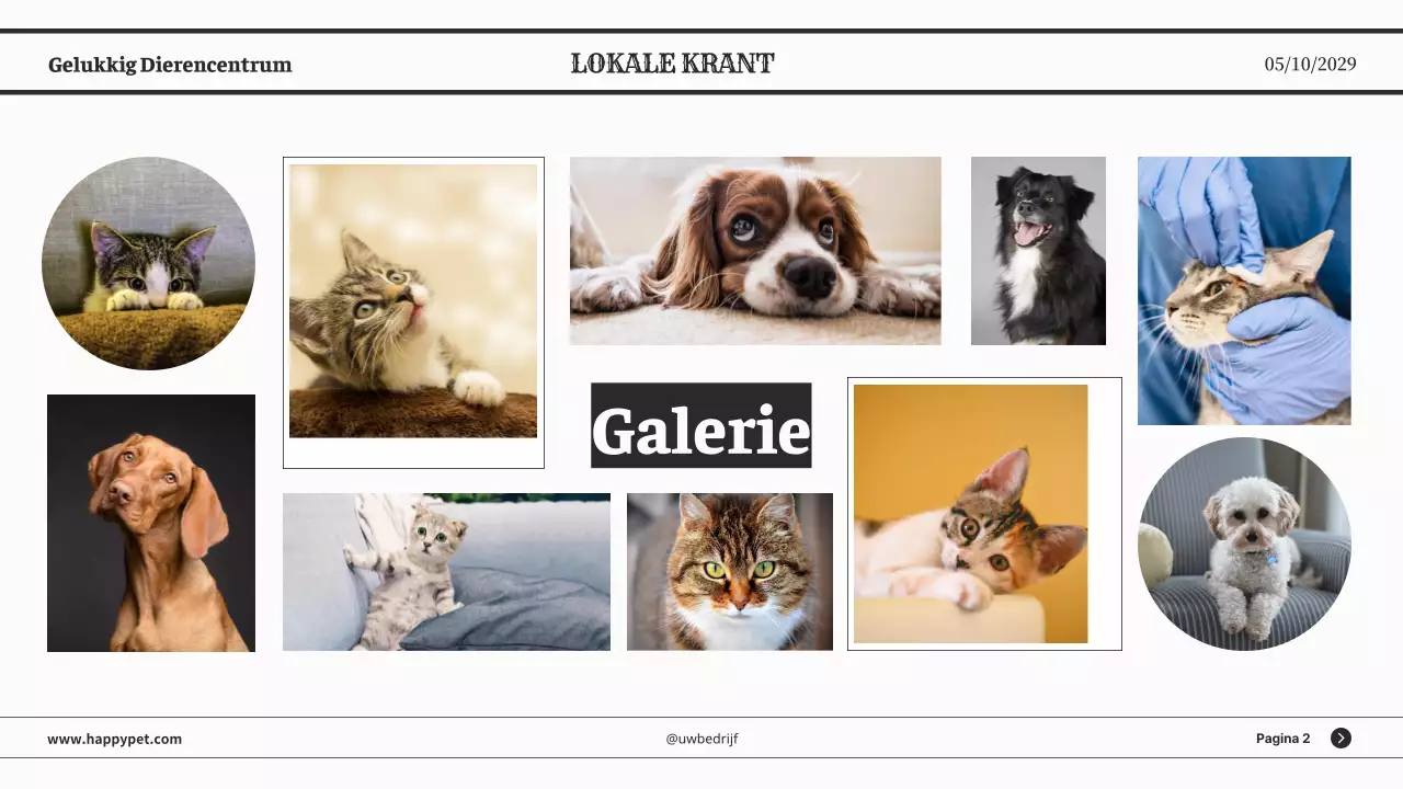 Grijze minimalistische klassieke kranten zakelijke presentatie