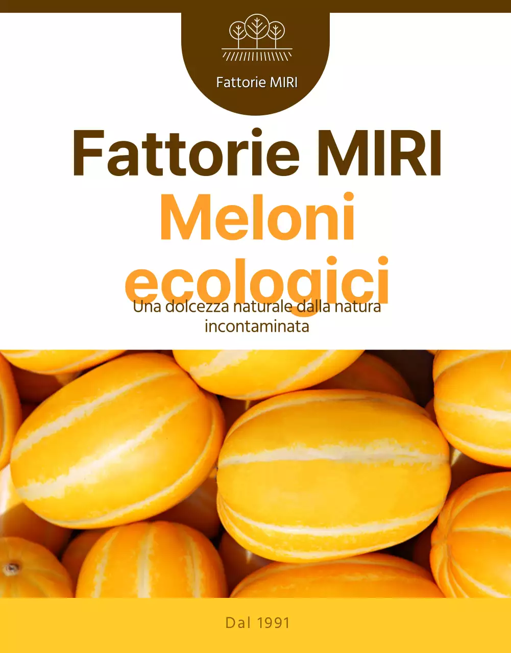 Promozione semplice del melone giallo