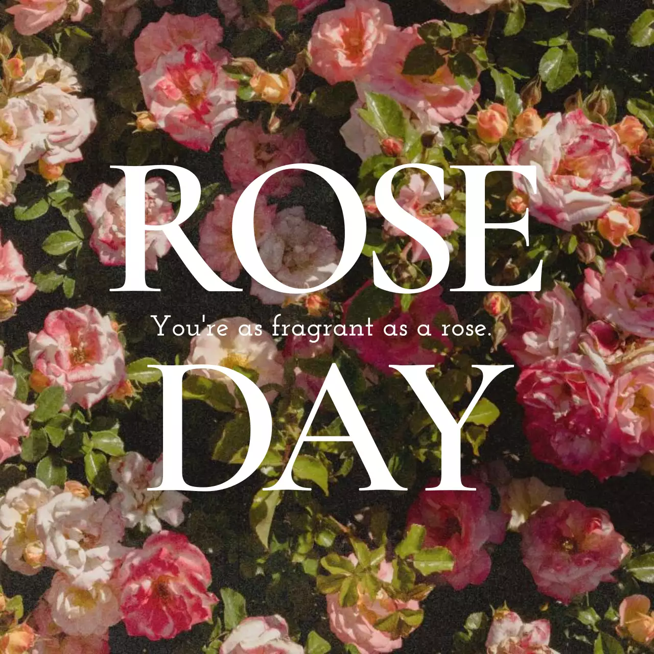 Bài đăng trên mạng xã hội thông báo về lễ kỷ niệm hoa hồng