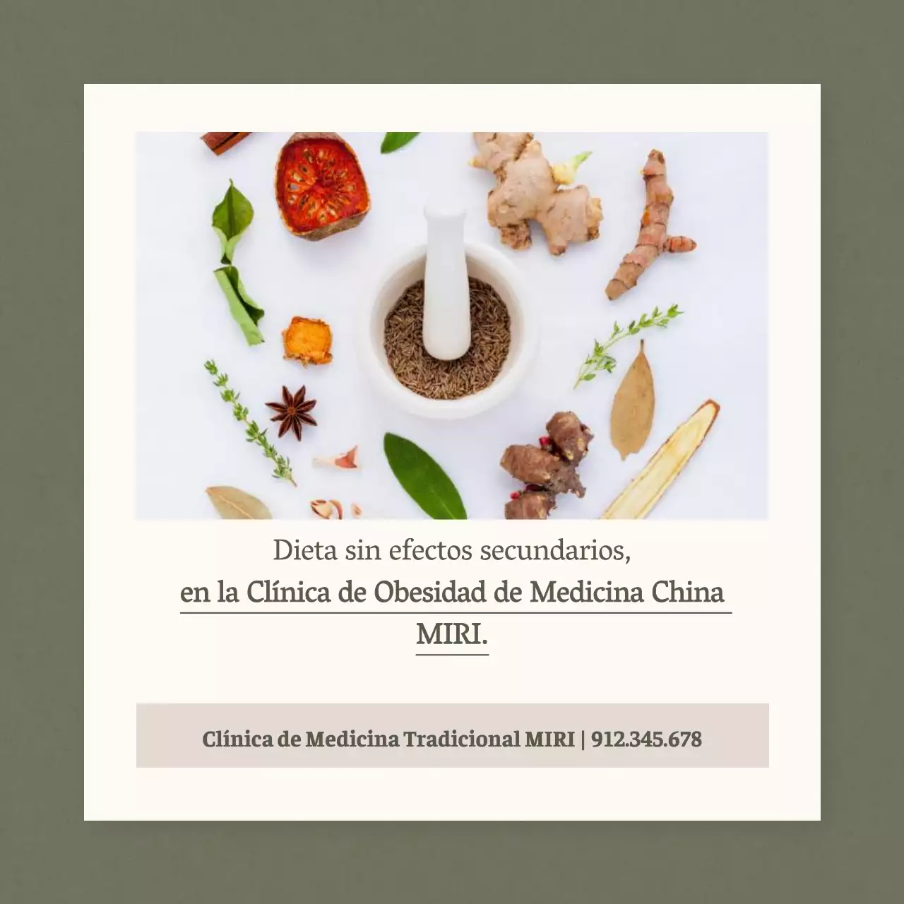 Promoción de una dieta sencilla de medicina china en caqui y beige