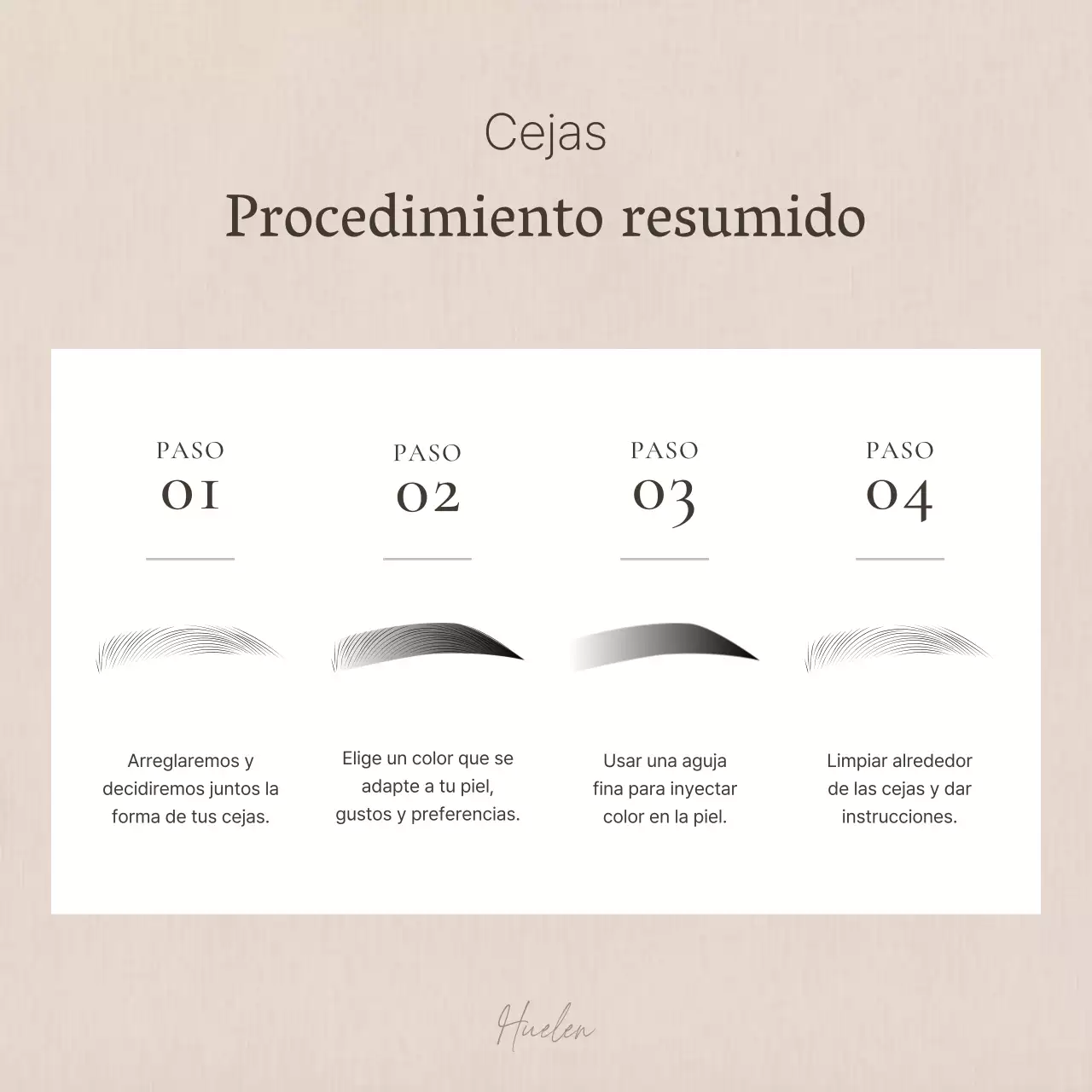 Promueva la belleza moderna de las pestañas en marrones y beiges