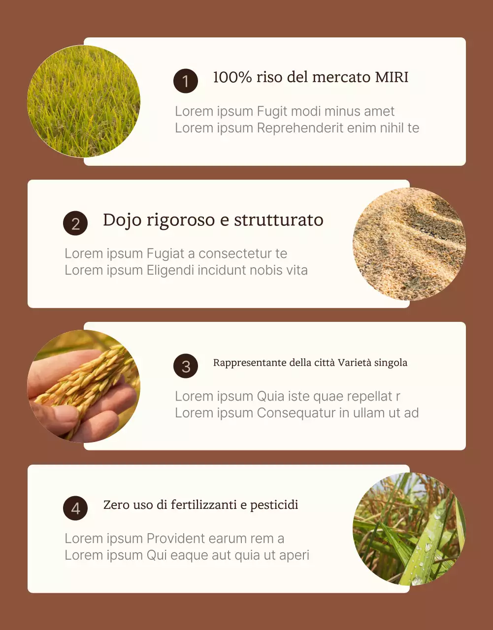 Un'introduzione moderna al riso biologico integrale e avorio