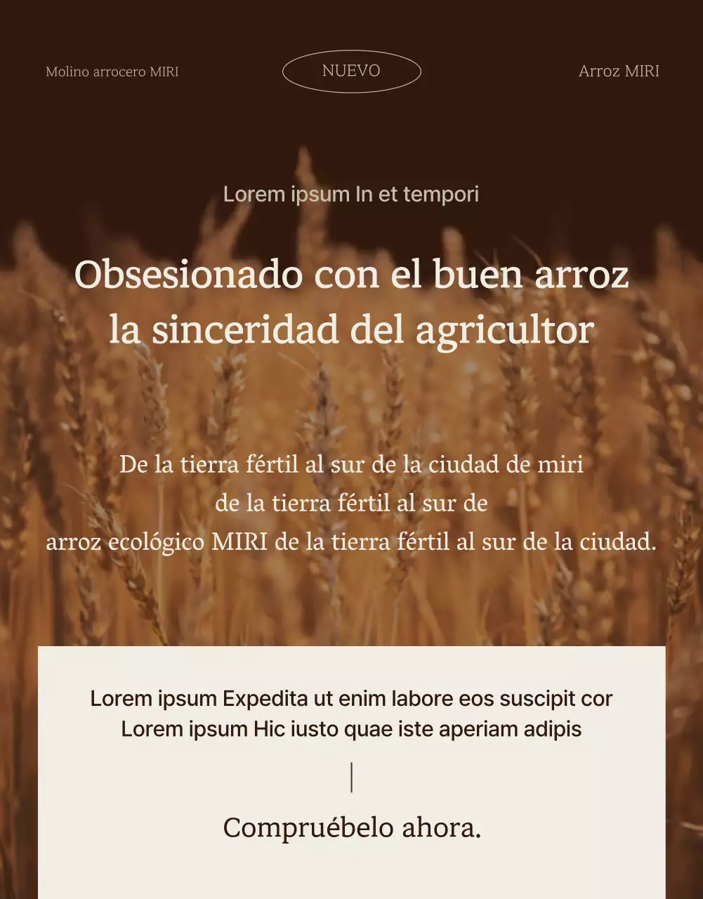 Una introducción moderna al arroz ecológico marrón y marfil