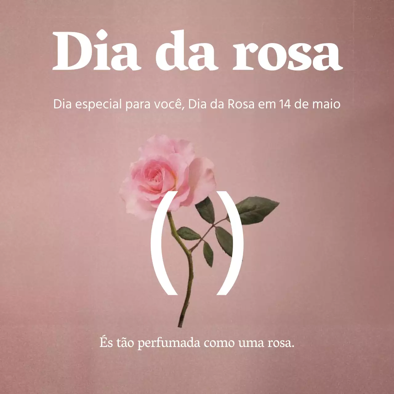 Um post sentimental sobre o Dia das Rosas em rosa e branco