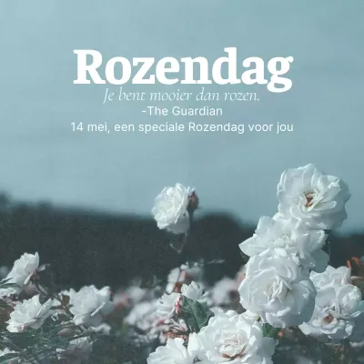 Een sentimentele Rose Day-post in lichtblauw en wit