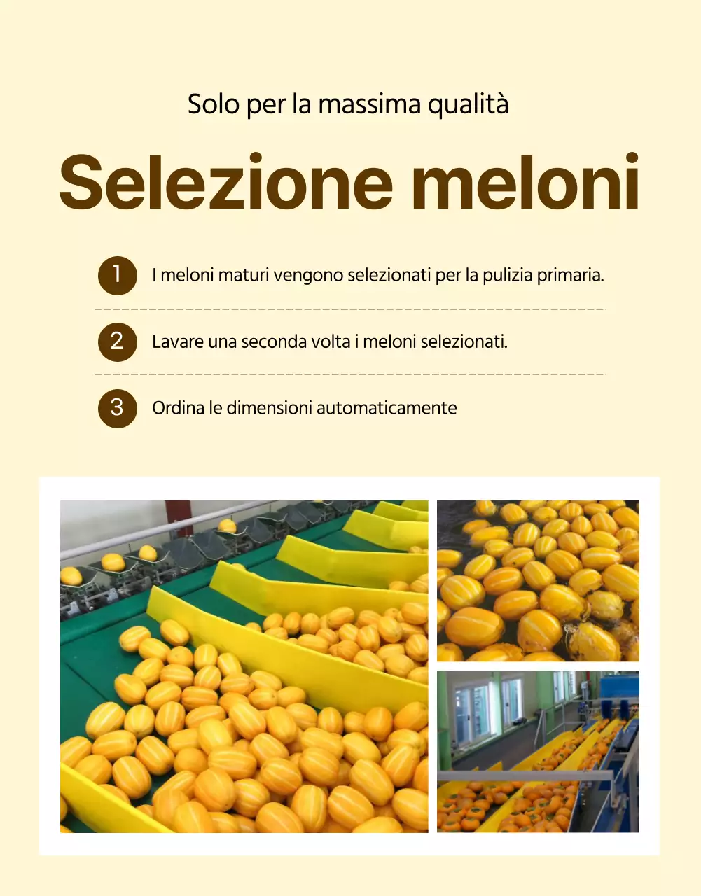 Promozione semplice del melone giallo
