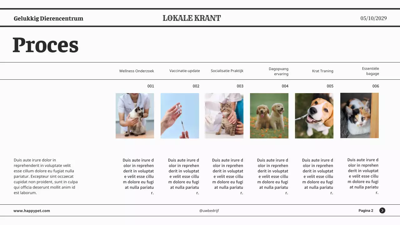 Grijze minimalistische klassieke kranten zakelijke presentatie