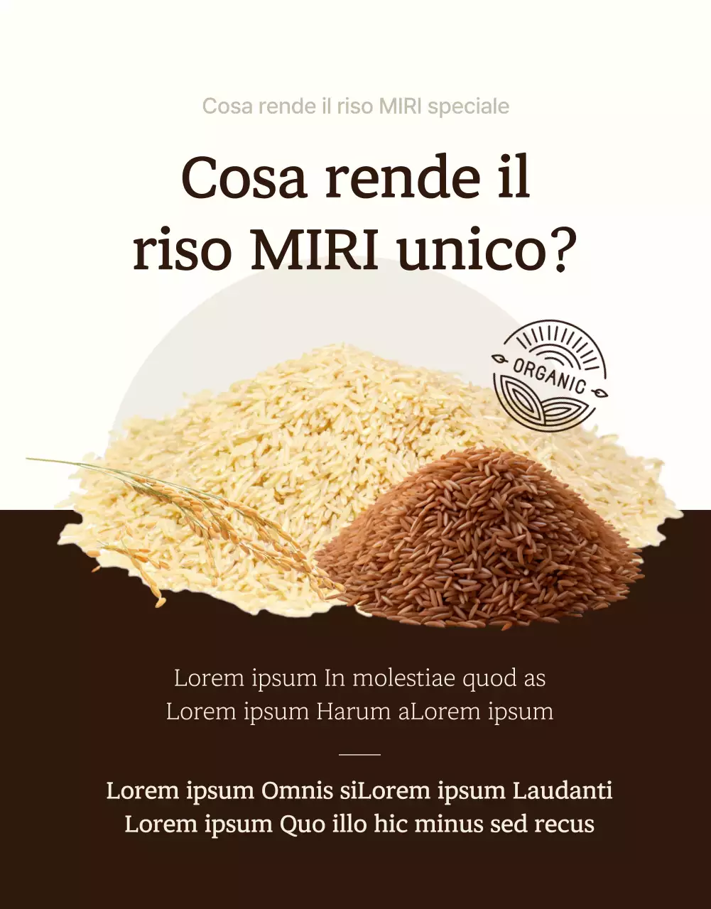 Un'introduzione moderna al riso biologico integrale e avorio