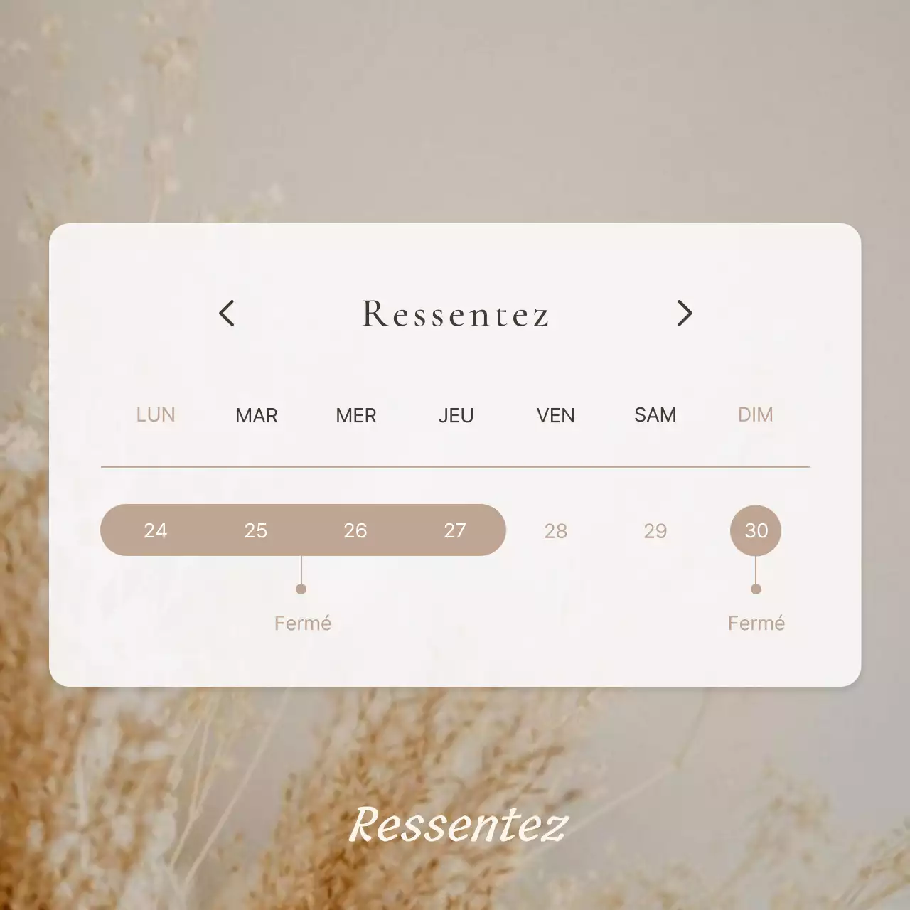 Faire-part de beauté moderne pour les cils en brun et beige