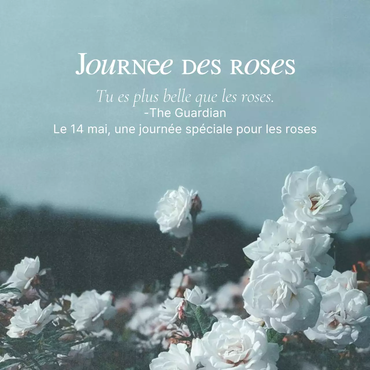 Un billet sentimental pour la Journée des roses en bleu clair et blanc