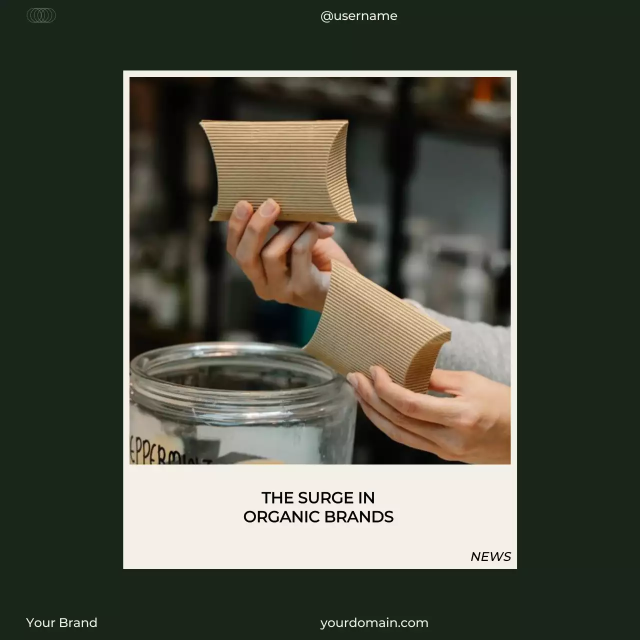 Green Beige Minimal Moody Instagram Editorial Design Collection Promotion